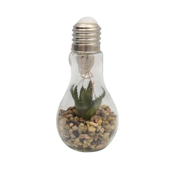 Faux Succulent LED Light Up Light Bulb Terrarium Home Decor Cheerful CHD798 NEW - Picture 3 of 6